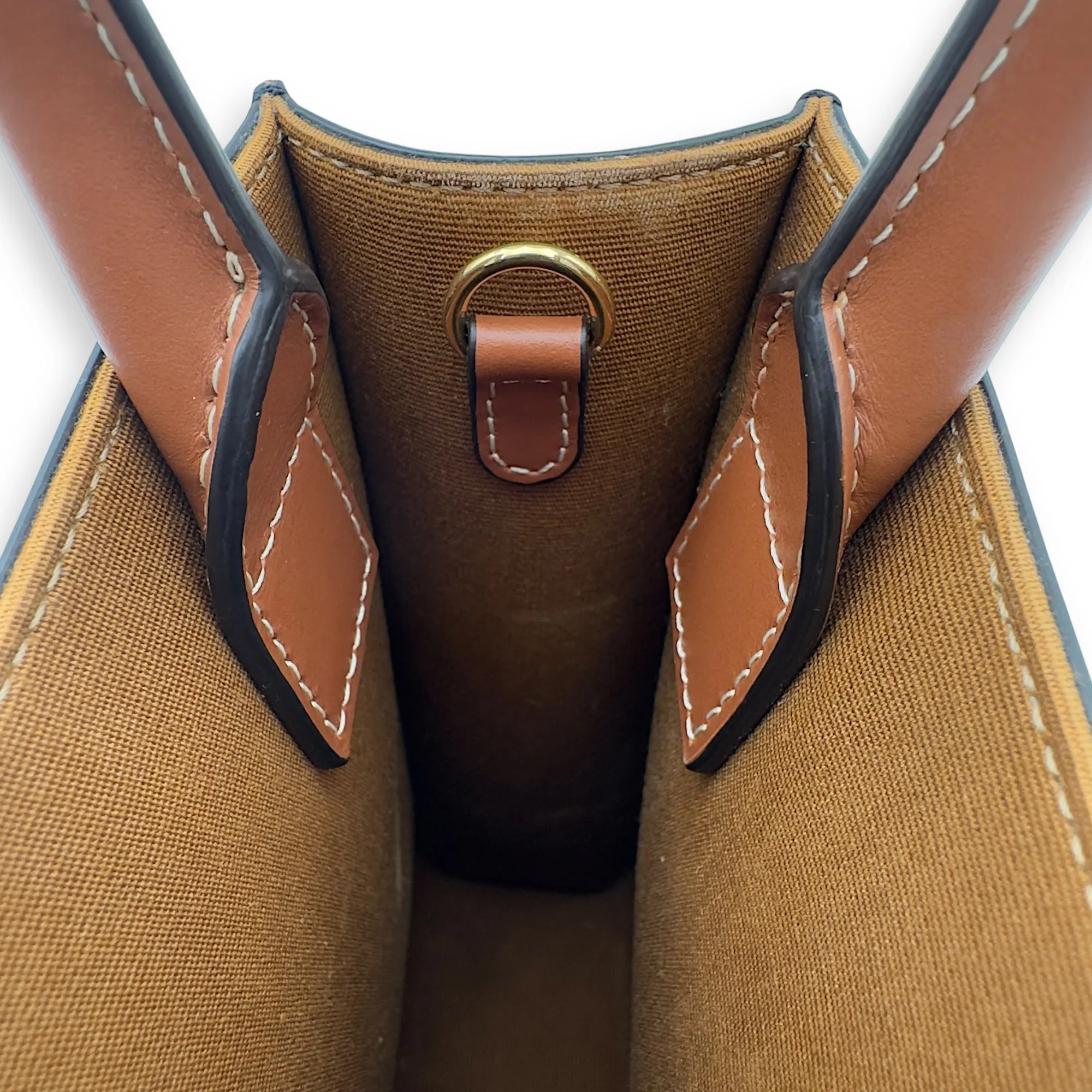 Cabas Triomphe Vertical Top Handle Bag Brown in Coated Canvas